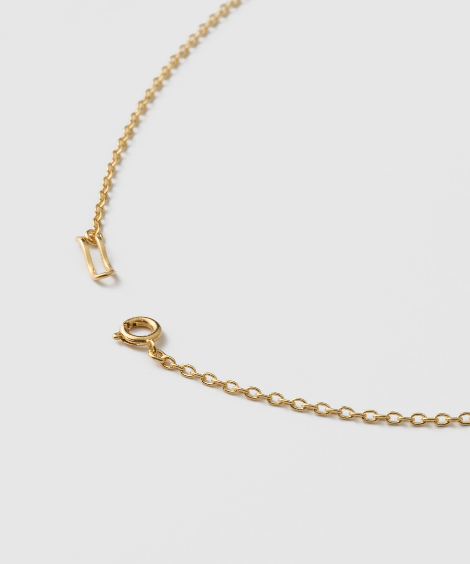 Horseshoe Oval Chian Necklace｜SV925